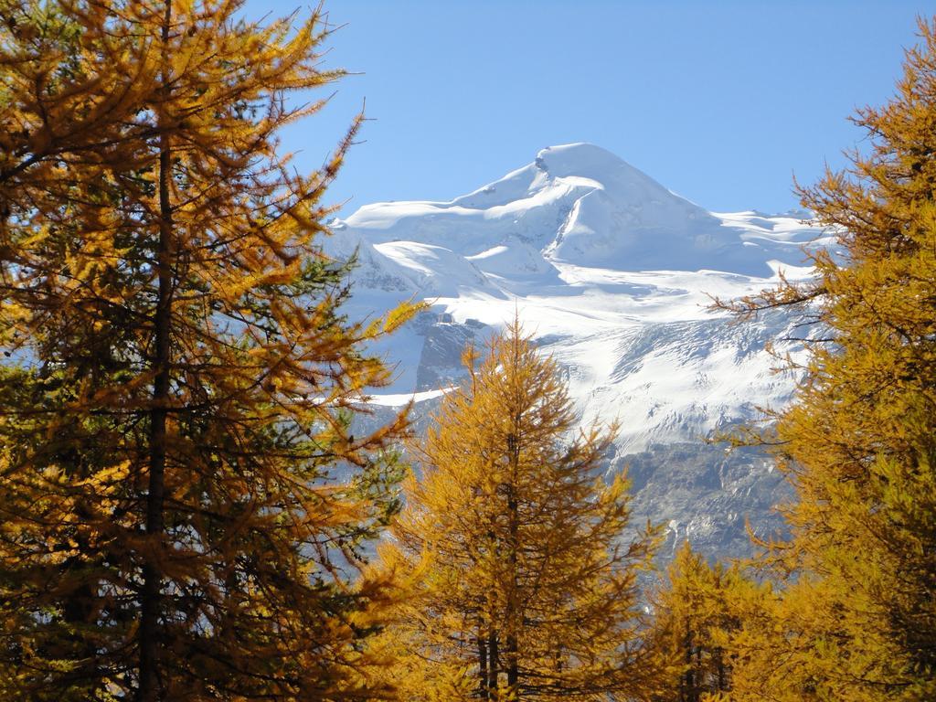 Haus Holiday Saas Fee Pokoj fotografie