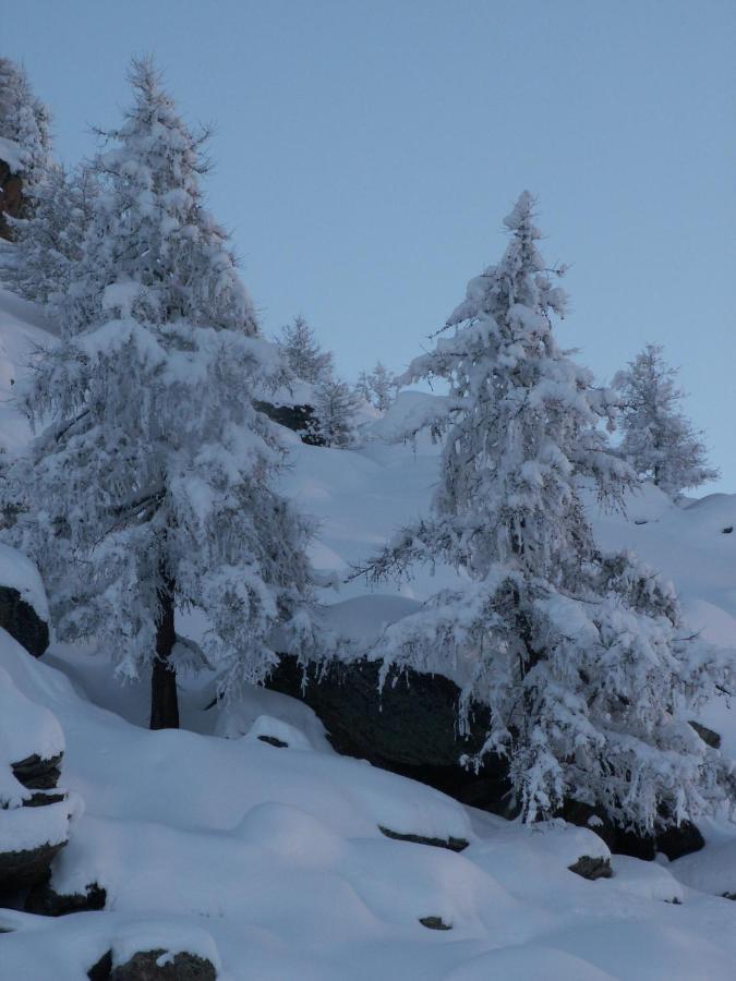 Haus Holiday Saas Fee Exteriér fotografie